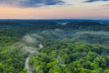 Forests and Wildlife Resources