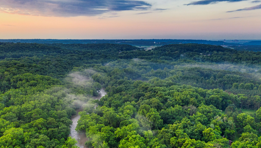 Forests and Wildlife Resources