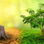 Resources and Development