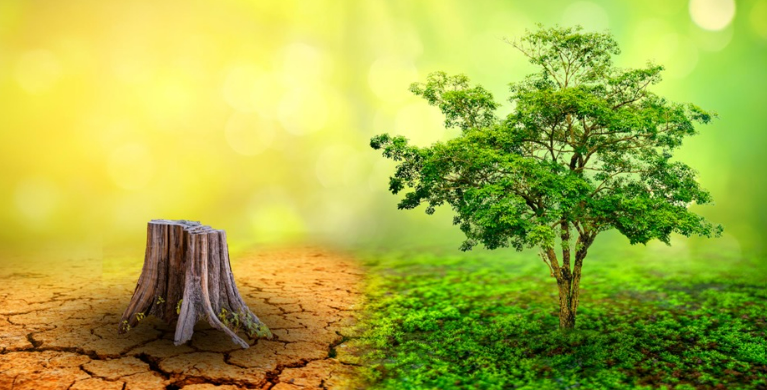 Resources and Development